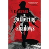 KNYGA V E Schwab Victoria Gathering of Shadows