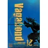 KNYGA Vagabond (VIZBIG Edition), Vol. 12