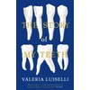 KNYGA Valeria Luiselli Story of My Teeth