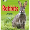 KNYGA Vicky Shipton Bug Club Phonics - Phase 5 Unit 27: Rabbits