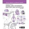 KNYGA Victoria Aspinall Introduction to Animal and Veterinary Anatomy and Physiology