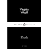 KNYGA Virginia Woolf Nuplaukite