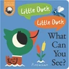KNYGA Ware Kate Little Duck! Little Duck! What Can You See?