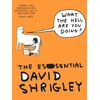 KNYGA What The Hell Are You Doing?: The Essential David Shrigley