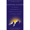 KNYGA Whyte David Consolations: The Solace, Nourishment and Underlying Meaning of Everyday Words