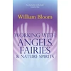 KNYGA William Bloom Undifferentiated Working With Angels, Fairies And Nature Spirits