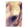 KNYGA William Faulkner As I Lay Dying