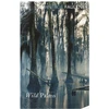 KNYGA William Faulkner Wild Palms