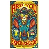KNYGA William Sutcliffe Are You Experienced?