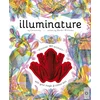 KNYGA Williams Rachel Illuminature