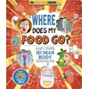 KNYGA Willow Green Where Does My Food Go? (and other human body questions)