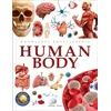 KNYGA Wonder House Books Knowledge Encyclopedia Human Body