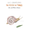 KNYGA A C Grayling Mystery of Things