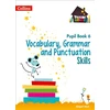 KNYGA Abigail Steel Vocabulary, Grammar and Punctuation Skills Pupil Book 6