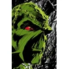 KNYGA Absolute Swamp Thing by Len Wein and Bernie Wrightson
