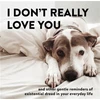 KNYGA Alex Beyer I Don't Really Love You