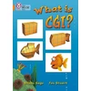 KNYGA Alison Sage What Is CGI?