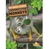 KNYGA Amy Culliford Monkeys