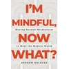 KNYGA Andrew Holecek I'm Mindful, Now What?