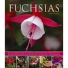 KNYGA Andrew Mikolajski Fuchsias