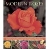 KNYGA Andrew Mikolajski Modern Roses