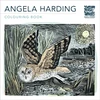 KNYGA Angela Harding Colouring Book