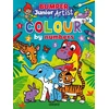 KNYGA Angela Hewitt Junior Artist Bumper Colour By Numbers