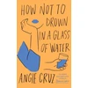 KNYGA Angie Cruz How Not to Drown in a Glass of Vanduo