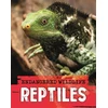 KNYGA Anita Ganeri Endangered Wildlife: Rescuing Reptiles