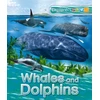 KNYGA Anita Ganeri Explorers: Whales and Dolphins