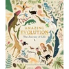 KNYGA Anna Claybourne Amazing Evolution, The Journey of Life