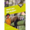 KNYGA Anna Claybourne Shinoy and the Chaos Crew: Why do we sleep?