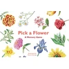 KNYGA Anna Day Pick a Flower, A Memory Game