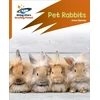 KNYGA Anne Glennie Reading Planet: Rocket Phonics – Target Practice – Pet Rabbits – Oranžinis