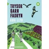 KNYGA Anni Llyn Cyfres Amdani: Trysor Garn Fadryn