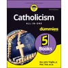KNYGA Annie Sullivan Catholicism All-in-One For Dummies