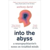 KNYGA Anthony David Into the Abyss