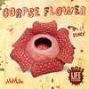 KNYGA Anthony William Corpse Flower