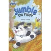 KNYGA Antony Lishak Storyworlds Bridges Stage 12 Jumble the Puppy (single)