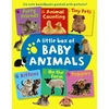 KNYGA Armadillo Press Staff Little Box of Baby Animals