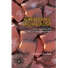 KNYGA Ashish Avikunthak Bureaucratic Archaeology
