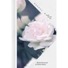 KNYGA Asprey Bracewell Beauty: In Some Recent Art