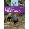 KNYGA Ayuwat Jearwattanakanok Birds of Thailand