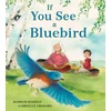 KNYGA Bahram Rahman If You See a Bluebird