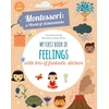 KNYGA Baruzzi Piroddi My First Book of Feelings