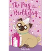 KNYGA Bella Swift Pug who wanted a Birthday