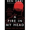 KNYGA Ben Okri Fire in My Head