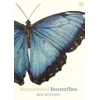 KNYGA Ben Rothery Sensational Butterflies