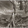 KNYGA Beth Moon Ancient Trees