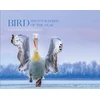 KNYGA Bird Photographer Bird Photographer of the Year Bird Photographer of the Year